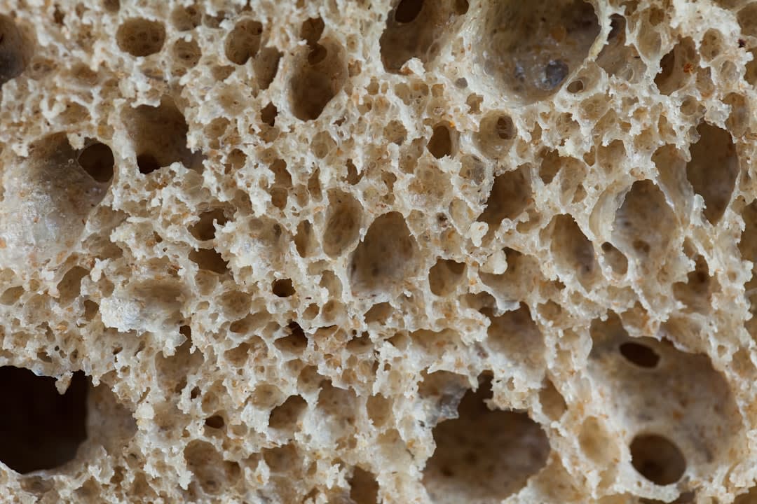Is Sourdough Microbes