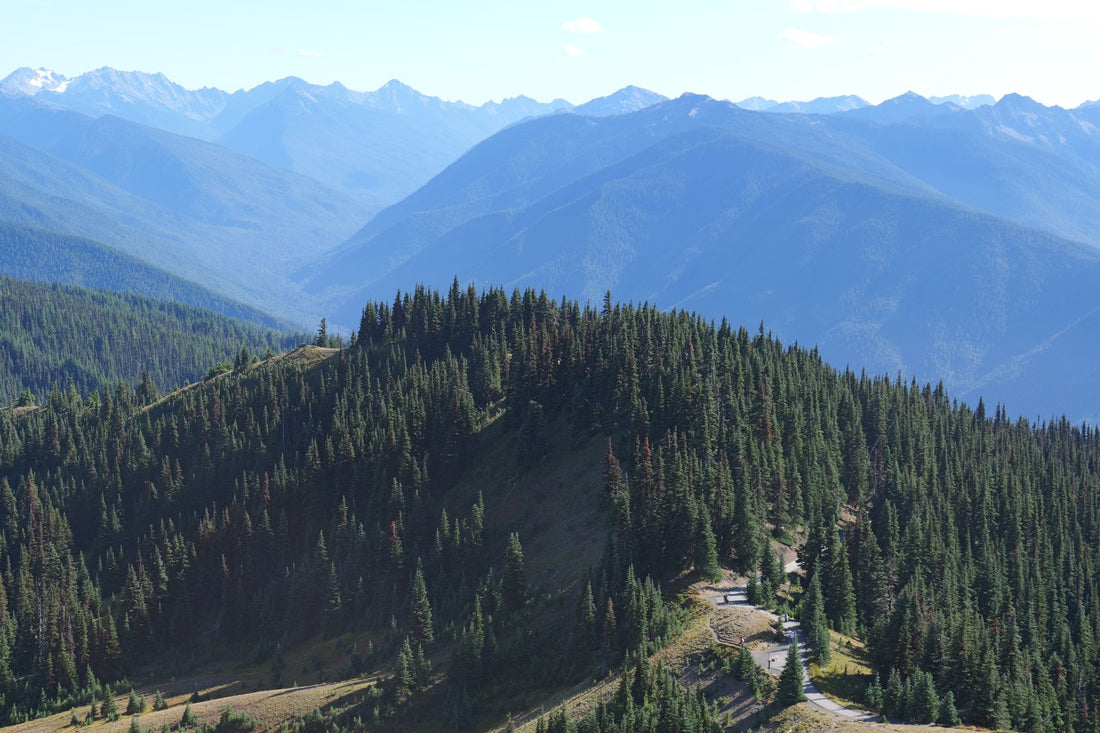Is Sourdough Ridge Trail Open