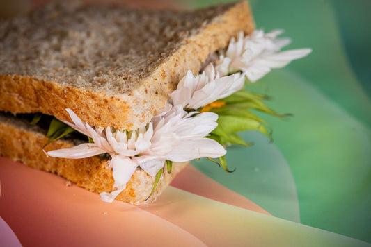 Sandwich What We Do In The Shadows