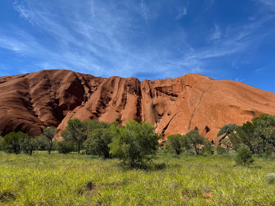 What Bread Outback