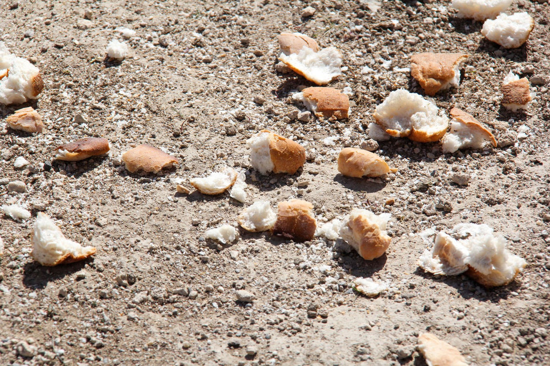 What Bread To Make Breadcrumbs