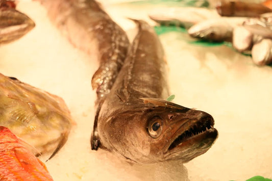 What Color Is Eel Meat