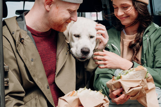 What Is A Vaseline Sandwich for Dogs