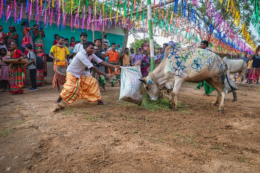 What Is Banda Meat In Jharkhand
