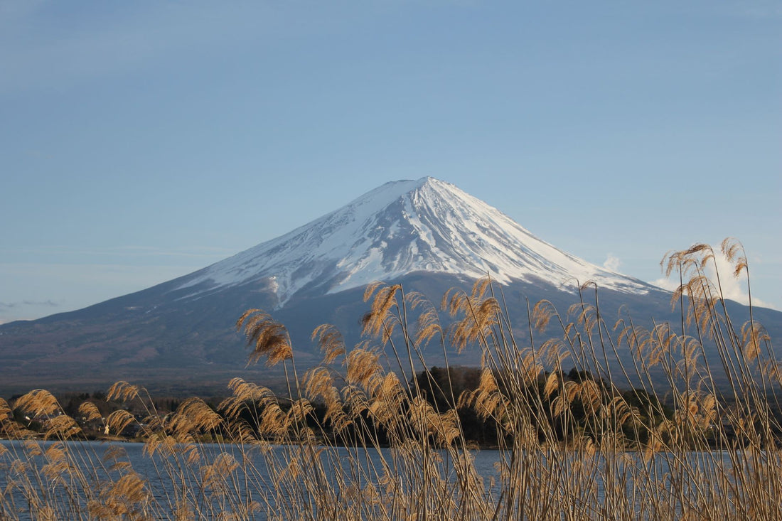 What Is Fujisan Bread