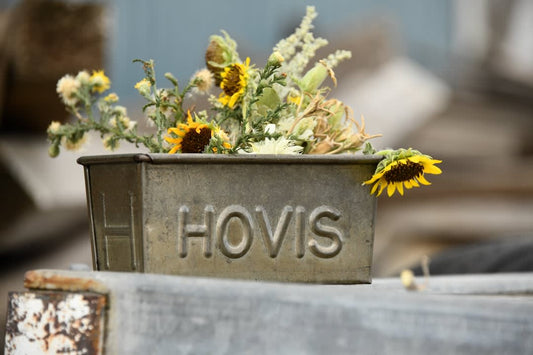 What Is Hovis Bread