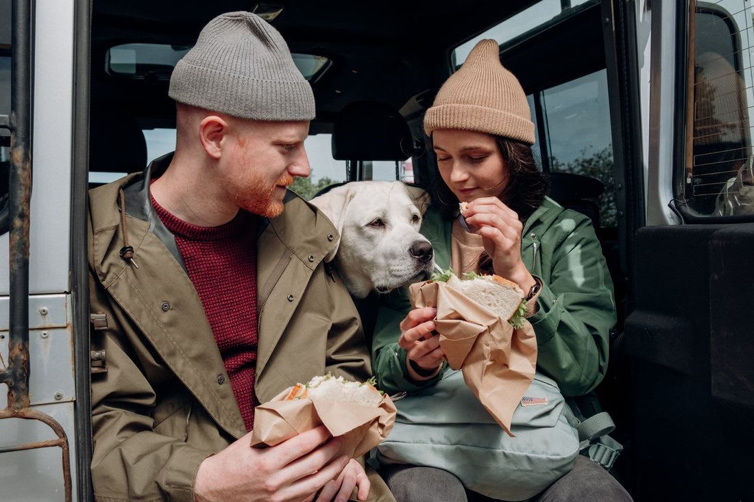 What Is Sandwich Clothing
