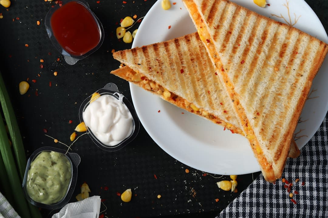 What Is Sandwich Griller