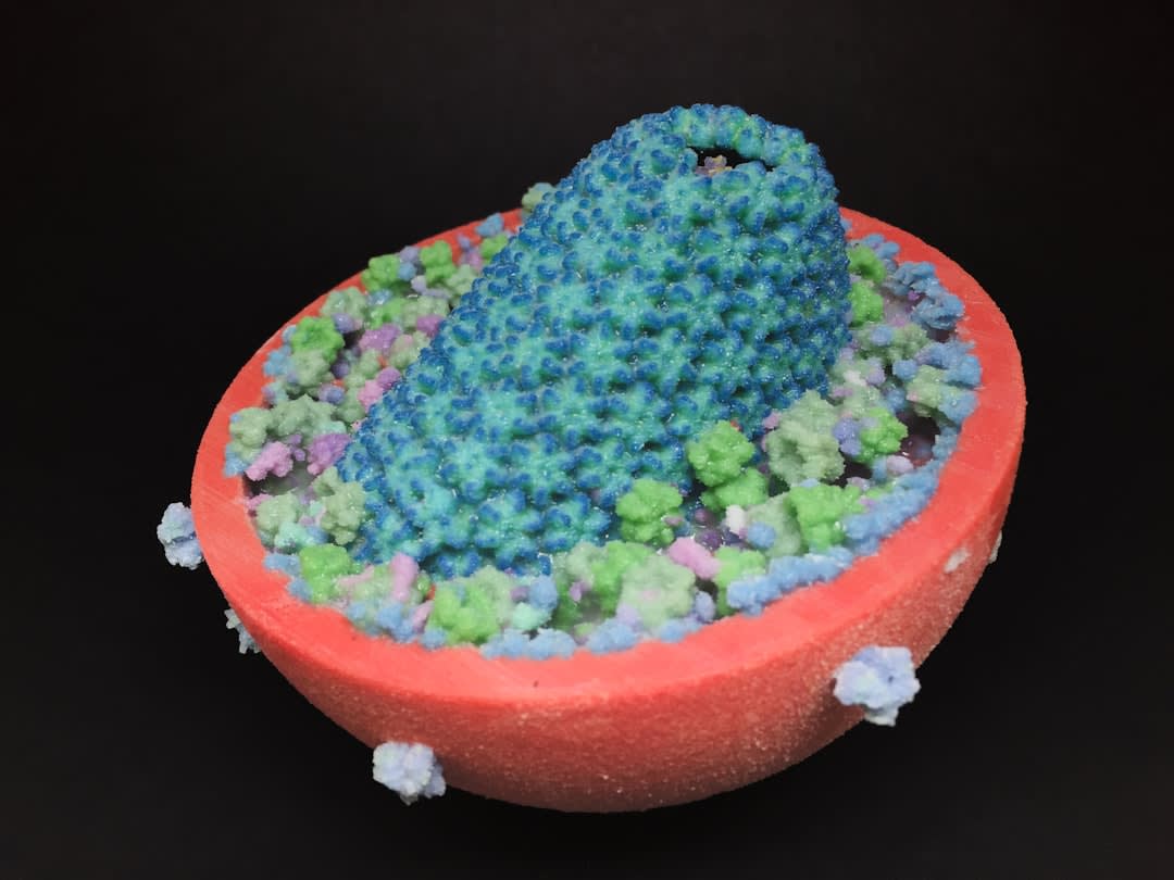 What Is Sandwich Model Of Plasma Membrane