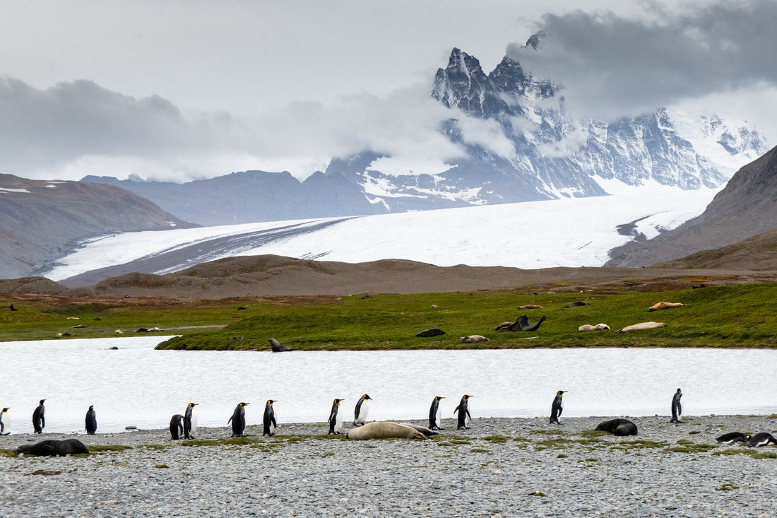 What Is South Sandwich Islands