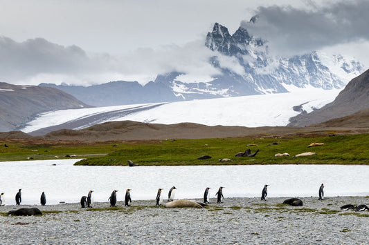 What Is South Sandwich Islands