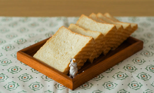 What Is The Cat Sandwich Obsession