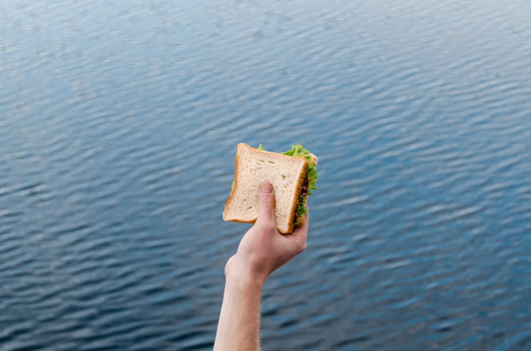 Which Bite Sandwich Meme